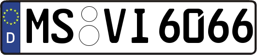 MS-VI6066