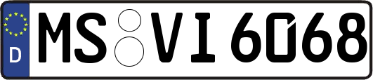 MS-VI6068