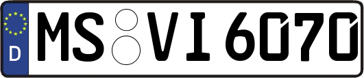 MS-VI6070