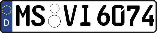 MS-VI6074