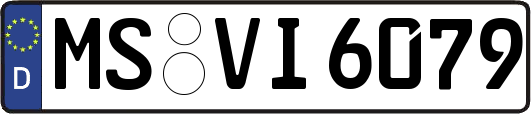 MS-VI6079