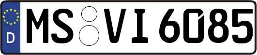 MS-VI6085