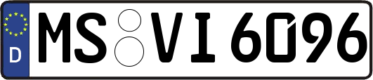 MS-VI6096