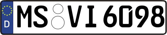MS-VI6098