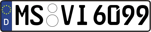 MS-VI6099