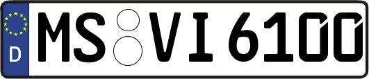 MS-VI6100