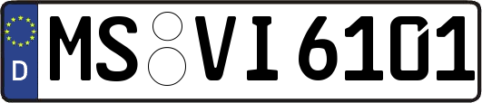 MS-VI6101