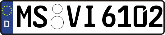 MS-VI6102