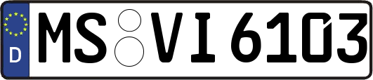 MS-VI6103