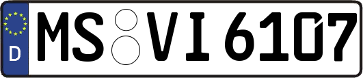 MS-VI6107