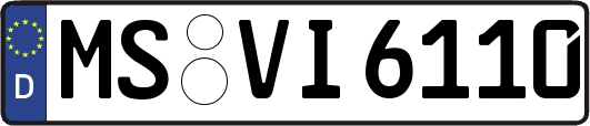 MS-VI6110