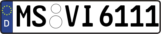MS-VI6111