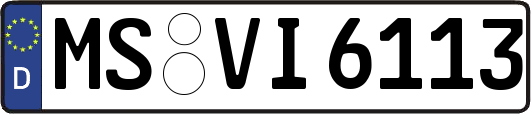 MS-VI6113