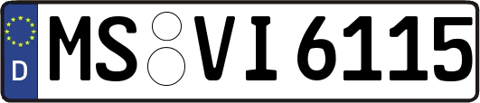 MS-VI6115