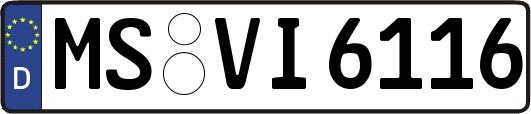 MS-VI6116
