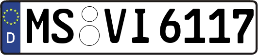 MS-VI6117