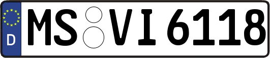 MS-VI6118