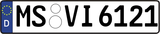 MS-VI6121