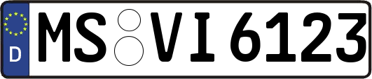 MS-VI6123