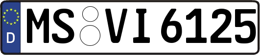 MS-VI6125