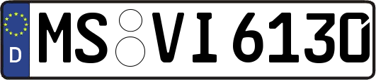 MS-VI6130