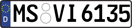 MS-VI6135