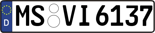 MS-VI6137
