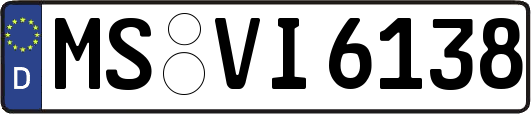 MS-VI6138
