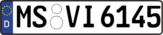MS-VI6145