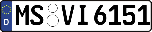 MS-VI6151