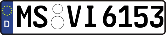 MS-VI6153