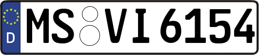 MS-VI6154