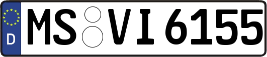 MS-VI6155