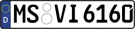 MS-VI6160
