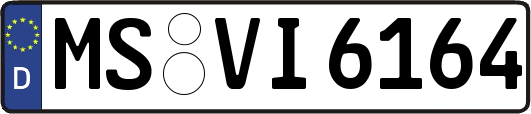 MS-VI6164