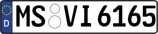 MS-VI6165