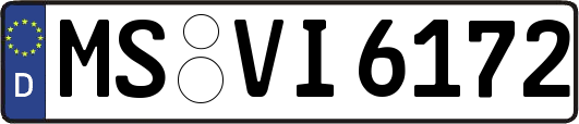 MS-VI6172