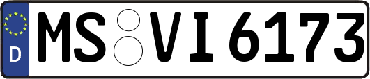 MS-VI6173