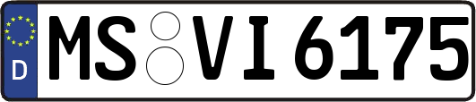 MS-VI6175