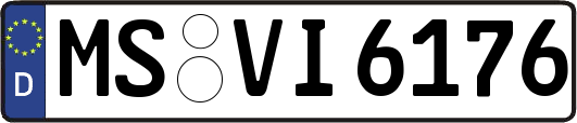 MS-VI6176