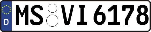 MS-VI6178