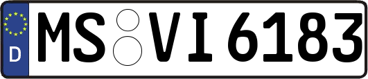 MS-VI6183
