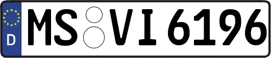 MS-VI6196