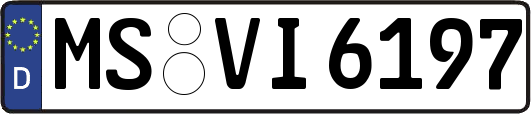 MS-VI6197
