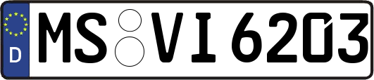 MS-VI6203