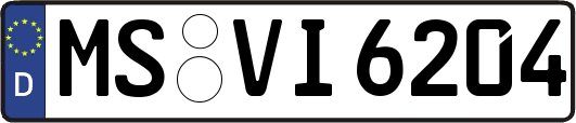 MS-VI6204