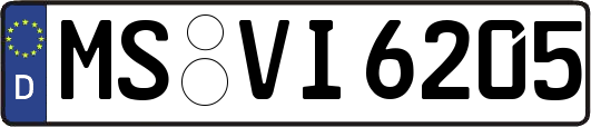 MS-VI6205