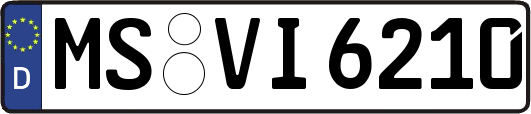 MS-VI6210