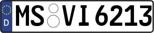 MS-VI6213