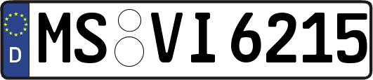 MS-VI6215